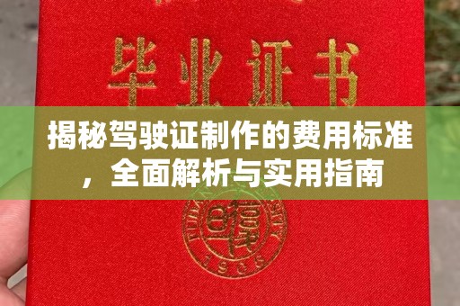 和静揭秘驾驶证制作的费用标准，全面解析与实用指南