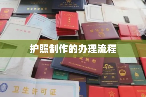 和静护照制作的办理流程