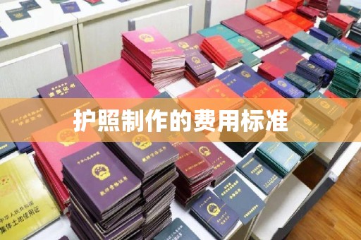 和静护照制作的费用标准