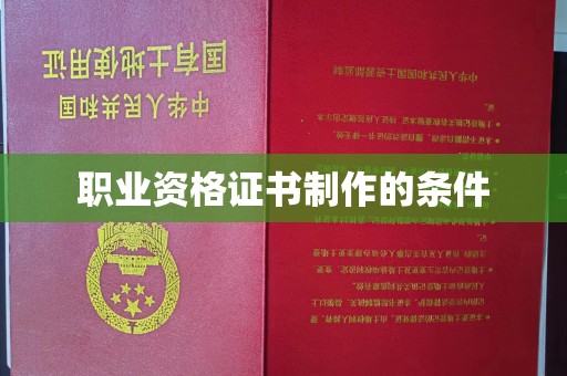 和静职业资格证书制作的条件