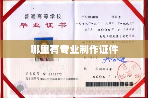 和静哪里有专业制作证件