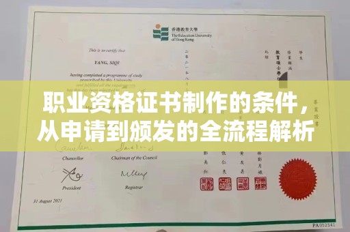 和静职业资格证书制作的条件，从申请到颁发的全流程解析