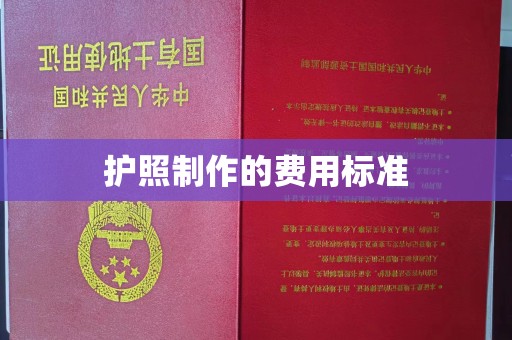 和静护照制作的费用标准