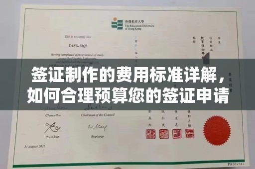 和静签证制作的费用标准详解，如何合理预算您的签证申请成本