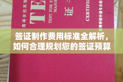 和静签证制作费用标准全解析，如何合理规划您的签证预算？